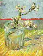 Vincent Van Gogh Blooming Almond Stem in a Glass Sweden oil painting artist